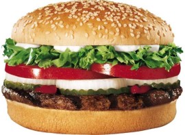Chicken Burger Supreme